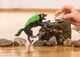 Кам'яний вовк Schleich 70153 - изображение 2
