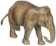 Азіатський слон, самка Schleich 14753 - зображення 3