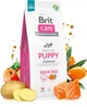 Корм для цуценят Brit Care Dog Grain-free Puppy беззерновий з лососем 1 кг (8595602558827) - изображение 3