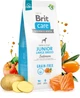 Корм для молодих собак великих порід Brit Care Dog Grain-free Junior Large Breed беззерновий з лососем 1 кг (8595602558889) - изображение 3