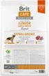 Корм для молодых собак больших пород Brit Care Dog Hypoallergenic Junior Large Breed гипоаллергенный с ягненком 3 кг (8595602559053) - изображение 2