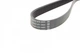 Ремінь приводний DAYCO 6PK1185 Renault Clio, Megane, Kangoo, Kadjar, Scenic, Captur; Seat Ibiza, Cordoba; Volkswagen Polo, Caddy; Toyota Corolla; Fiat Scudo; Peugeot Boxer, 307; Citroen Jumper SH0115909A, SH0115909, E117719 - зображення 2