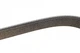 Ремінь приводний DAYCO 6PK2150S Mercedes G-Class, E-Class, C-Class 0099979192, A0099979192 - зображення 4