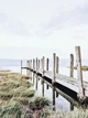 Флизелиновые фотообои с природой в интерьере 184x254 см 3Д Пирс и сухая трава (12047V4A)+клей - изображение 2