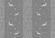 Флизелиновые фотообои в спальню 254x184 см Серые птицы и узоры (2478V4)+клей - изображение 1