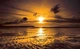 Флизелиновые фотообои природа 254x184 см Желтый закат на море (261V4)+клей - изображение 1