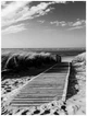 Флизелиновые фотообои в гостиную 206x275 см Черно-белые 3Д Дорога ведет на пляж (1022VEA) +клей - изображение 2