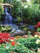Флизелиновые фотообои природа 206x275 см 3Д Пейзаж Тропики Цветы Маленький водопад в красочных джунглях 166VEA+клей - изображение 2