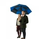 Зонт Fulton Stormshield S669-019221 блакитний з синім - зображення 5