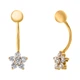 Пирсинг Diamant с0580 (507016) - изображение 1