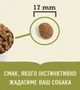 Сухой корм ACANA Adult Large Breed Recipe для собак больших пород 17 кг - изображение 2