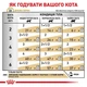 Влажный корм Royal Canin Urinary S/O при заболеваниях мочевыводящих путей у кошек, 84шт*85 г - изображение 2