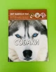 Собаки, фотоенциклопедія. Світ навколо нас - изображение 1