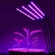 Фітолампа для рослин Plant GrowLight світлодіодна з таймером на 4 головки - зображення 4