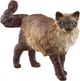 Zabawka dla kota Schleich Ragdoll (4059433363226) - obraz 1