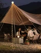 Портативная лампа гирлянда NexTool Milky Way Camping Lamp NE20233 - изображение 4