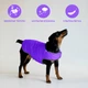 Курточка-накидка для собак Airy Vest, M, B 52-62 см, С 37-46 см, Фиолетовая (15439Collar) - изображение 6
