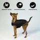 Курточка-накидка для собак Airy Vest, XXS, B 29-36 см, С 14-20 см, Черная (15401Collar) - изображение 6