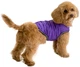 Курточка-накидка для собак Airy Vest, XS, B 33-41 см, С 18-27 см, Фиолетовая (15419Collar) - изображение 1
