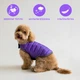 Курточка-накидка для собак Airy Vest, XS, B 33-41 см, С 18-27 см, Фиолетовая (15419Collar) - изображение 6