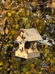 Кормушка для птиц 18х24х20см Бабочками - изображение 2
