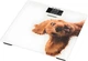 Весы напольные Zelmer ZBS1010 Crazy dog - изображение 1