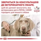 Сухой корм Royal Canin Gastro Intestinal Puppy для щенков с чувствительным пищеварением 1 кг - изображение 7