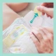 Підгузки Pampers Premium Care Розмір 2 (4-8 кг) 46 шт (8001841104799) - зображення 9