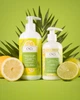 Мыло для рук CND Scentsations Цитрус и зеленый чай 390 мл - изображение 2