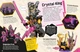 Книга англійською мовою LEGO Ninjago Секрет World of the Ninja New Edition: With Exclusive Lloyd LEGO Minifigure від автора Shari Last та видавництва Dorling Kindersley з Великобританії - зображення 3