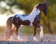 Battlefield Angel HP traditional фриз пінто жеребець Breyer 1865 - изображение 2