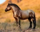 Theo traditional арденський важковоз Breyer 1843 - изображение 4