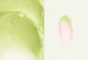 Бальзам для губ веганський зі смаком авокадо Manyo Our Vegan Color Lip Balm – Avocado 3.7 g. - изображение 4