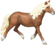 Фігурка Schleich Horse Club Haflinger Hengst 10.4 см (4055744039355) - зображення 3