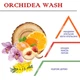 Парфум для прання Hypno Casa Аромат ORCHIDEA WASH 200 мл 3659-HYP - изображение 2