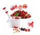 Машинка для удаления косточек из вишни и черешни Cherry Corer (90202SN246) - изображение 1