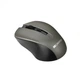 Мышка Canyon MW-1 Wireless Gray (CNE-CMSW1G) - изображение 2