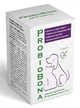 ProbioBona Суспензия пробиотик жидкий для кошек, собак, грызунов, пчел, других животных ProbioDay 100 мл+шприц - изображение 2