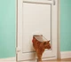 Дверца для собак и кошек до 10 кг PetSafe Staywell 292*292 мм (пластик) - изображение 2