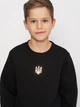 Детский теплый свитшот Smile Time Golden Trident ZT26-03-1-1 110 см Черный (st_2000000154268) - изображение 4
