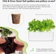 Сменный картридж Click&Grow Зеленый салат 3 шт (4742793007731) - изображение 3
