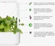 Wymienny wkład Click&Grow Bok Choy 3 szt (4742793009131) - obraz 6