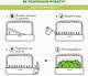Wymienny wkład Click&Grow Bok Choy 3 szt (4742793009131) - obraz 9