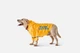 Куртка-дощовик для собак Noble Pet Moss Bravery M-Long Yellow (M4128/M-Long) - изображение 5
