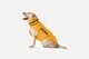 Пуховик Noble Pet Bobby Bravery Yellow B4130/2XL (B4130/2XL) - изображение 2