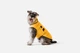 Пуховик Noble Pet Bobby Bravery Yellow B4130/2XL (B4130/2XL) - изображение 3