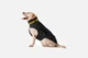 Пуховик Noble Pet Bobby Black B4129/6XL (B4129/6XL) - зображення 2