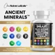 Премиальная добавка для поддержки надпочечников и иммунитета Clean Nutraceuticals Shilajit Pure Himalayan 10,000mg Supplement w Sea Moss 6000mg Ashwagandha 6000 Tongkat Ali Boron Magnesium 90 капсул - зображення 7