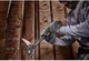 Молоток DeWalt DEM-CLAW цельнометаллический вес головки 624 г (DWHT51008-0) - изображение 4