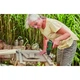 Шуруповерт Bosch EasyDrill 1200, 12в, 1х1.5Ач, зу, кейс (0.603.9d3.006) - зображення 5
